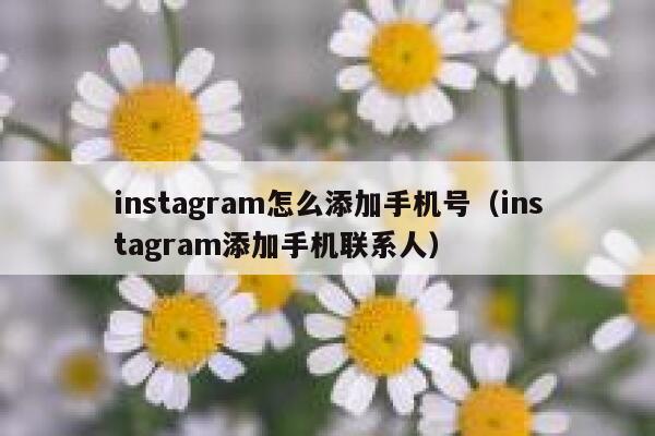 instagram怎么添加手机号(instagram添加手机联系人) 第1张 instagram怎么添加手机号(instagram添加手机联系人) 第1张