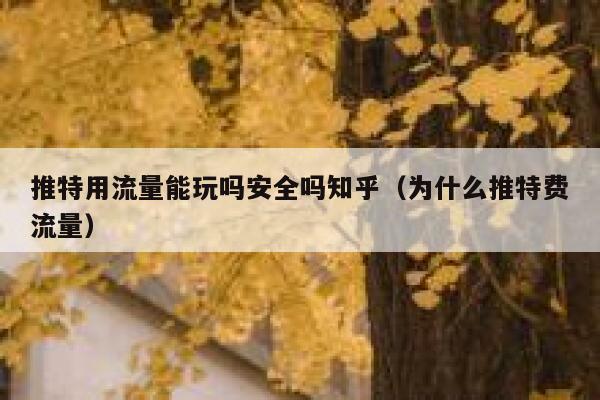 推特用流量能玩吗安全吗知乎(为什么推特费流量) 第1张 推特用流量能玩吗安全吗知乎(为什么推特费流量) 第1张