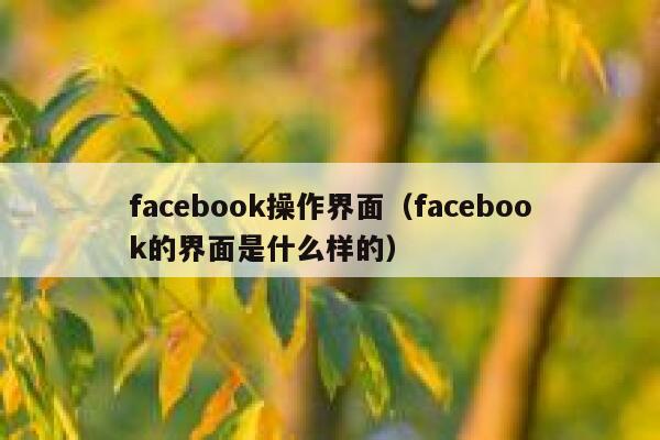 facebook操作界面（facebook的界面是什么样的） 第1张