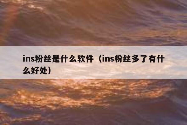 ins粉丝是什么软件（ins粉丝多了有什么好处） 第1张