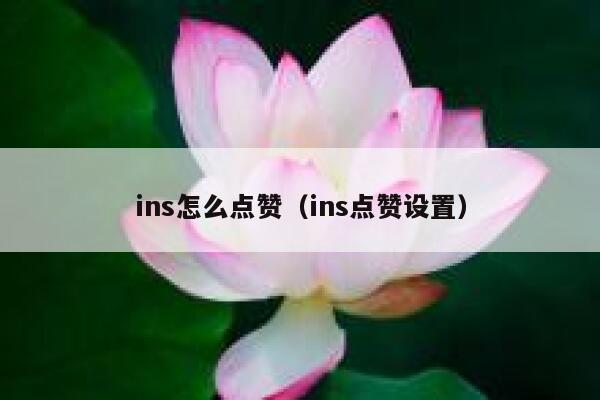 ins怎么点赞（ins点赞设置） 第1张
