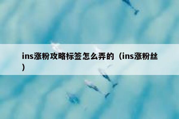 ins涨粉攻略标签怎么弄的(ins涨粉丝) 第1张 ins涨粉攻略标签怎么弄的(ins涨粉丝) 第1张