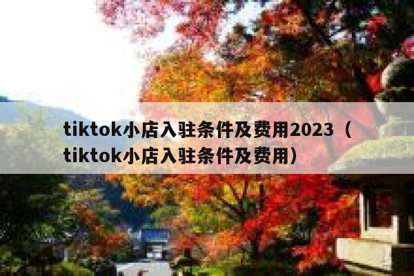 tiktok小店入驻条件及费用2023(tiktok小店入驻条件及费用) 第1张 tiktok小店入驻条件及费用2023(tiktok小店入驻条件及费用) 第1张