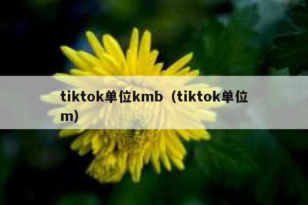 tiktok单位kmb（tiktok单位m） 第1张