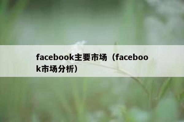 facebook主要市场（facebook市场分析） 第1张