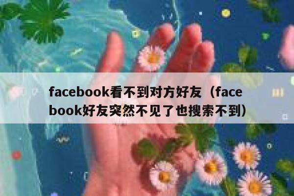 facebook看不到对方好友（facebook好友突然不见了也搜索不到） 第1张