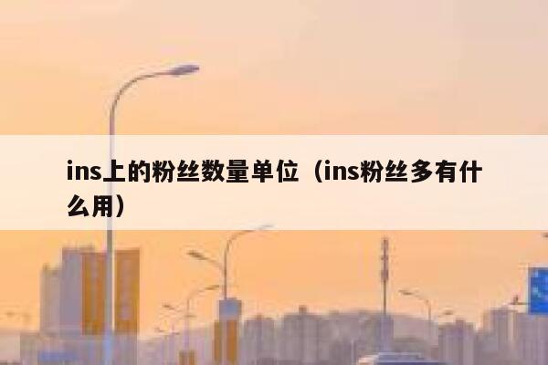 ins上的粉丝数量单位（ins粉丝多有什么用） 第1张