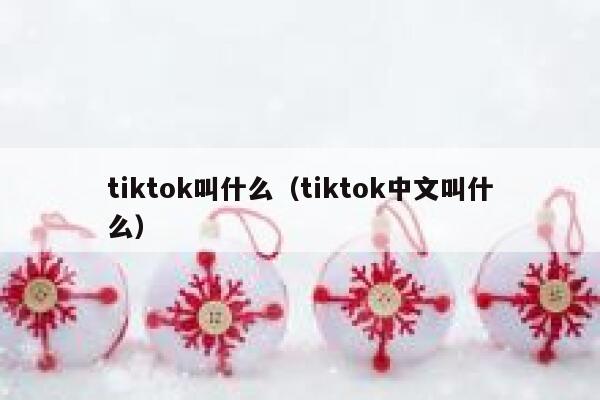 tiktok叫什么（tiktok中文叫什么） 第1张