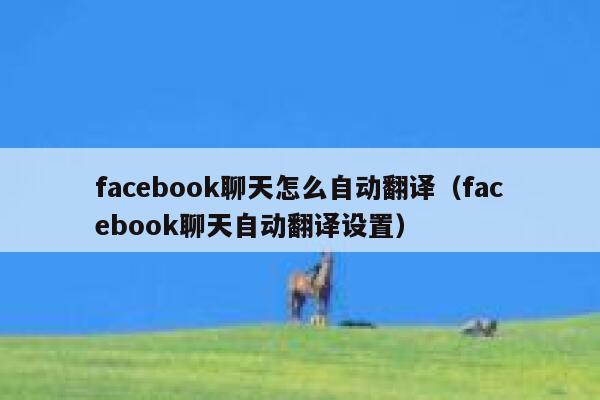 facebook聊天怎么自动翻译（facebook聊天自动翻译设置） 第1张