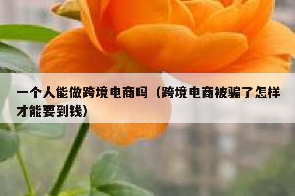 一个人能做跨境电商吗（跨境电商被骗了怎样才能要到钱） 第1张
