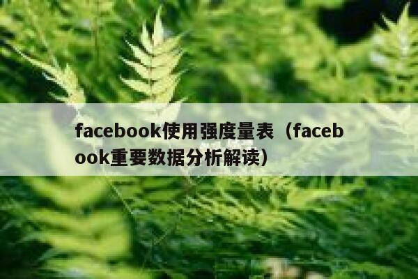 facebook使用强度量表（facebook重要数据分析解读） 第1张