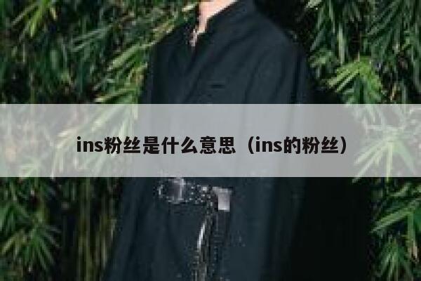 ins粉丝是什么意思（ins的粉丝） 第1张