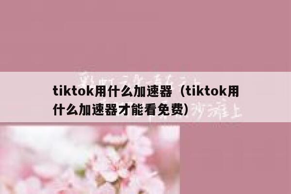 tiktok用什么加速器（tiktok用什么加速器才能看免费） 第1张