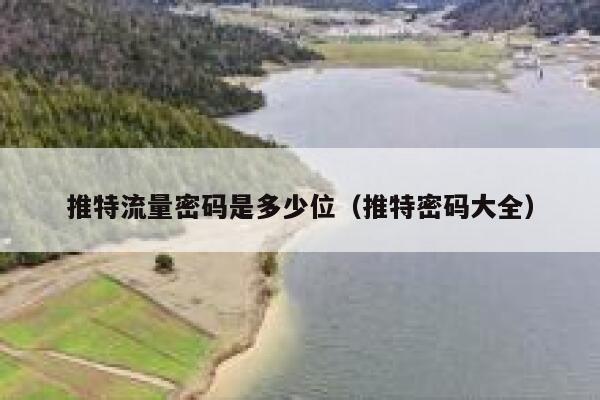 推特流量密码是多少位（推特密码大全） 第1张