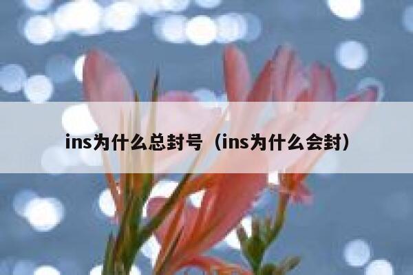ins为什么总封号(ins为什么会封) 第1张 ins为什么总封号(ins为什么会封) 第1张