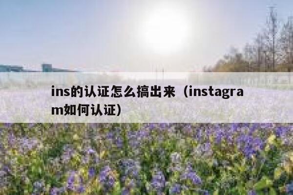ins的认证怎么搞出来（instagram如何认证） 第1张