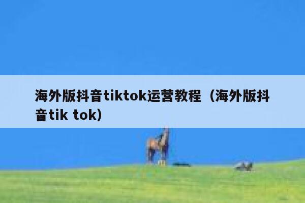 海外版抖音tiktok运营教程(海外版抖音tik tok) 第1张 海外版抖音tiktok运营教程(海外版抖音tik tok) 第1张