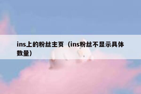 ins上的粉丝主页（ins粉丝不显示具体数量） 第1张