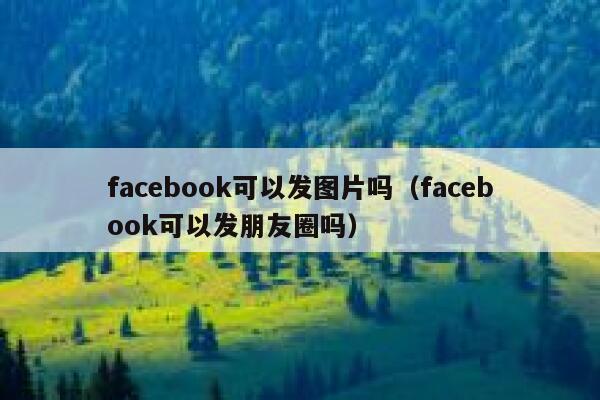 facebook可以发图片吗（facebook可以发朋友圈吗） 第1张