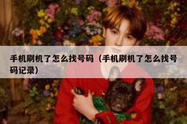 手机刷机了怎么找号码（手机刷机了怎么找号码记录） 第1张
