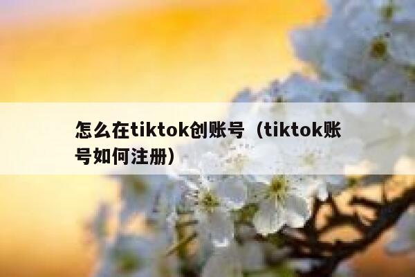 怎么在tiktok创账号(tiktok账号如何注册) 第1张 怎么在tiktok创账号(tiktok账号如何注册) 第1张