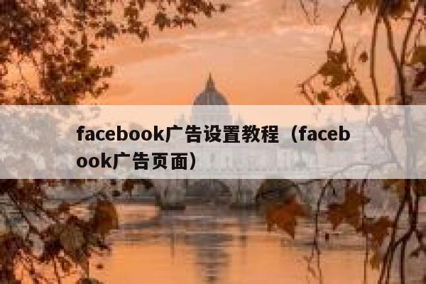 facebook广告设置教程（facebook广告页面） 第1张