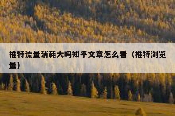 推特流量消耗大吗知乎文章怎么看(推特浏览量) 第1张 推特流量消耗大吗知乎文章怎么看(推特浏览量) 第1张