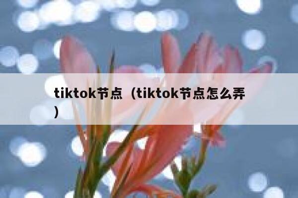 tiktok节点(tiktok节点怎么弄) 第1张 tiktok节点(tiktok节点怎么弄) 第1张