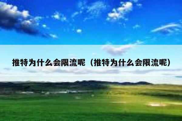 推特为什么会限流呢（推特为什么会限流呢） 第1张