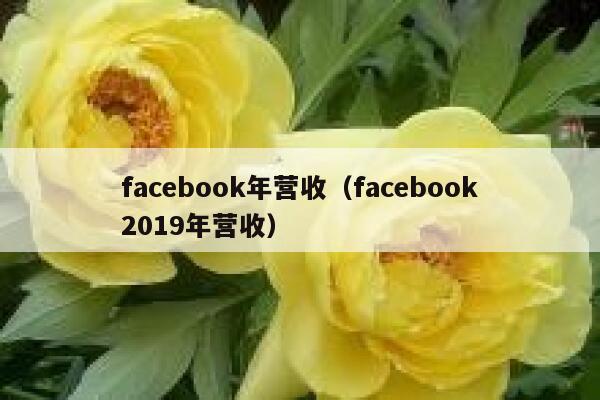 facebook年营收（facebook2019年营收） 第1张