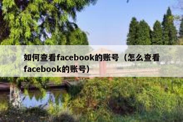 如何查看facebook的账号（怎么查看facebook的账号） 第1张