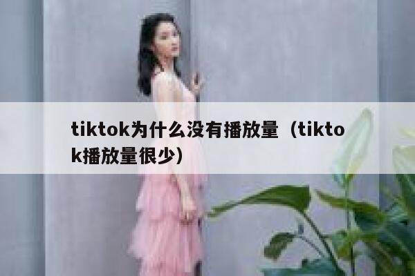 tiktok为什么没有播放量（tiktok播放量很少） 第1张