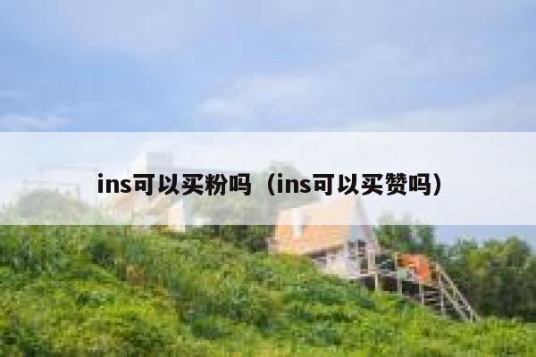 ins可以买粉吗（ins可以买赞吗） 第1张