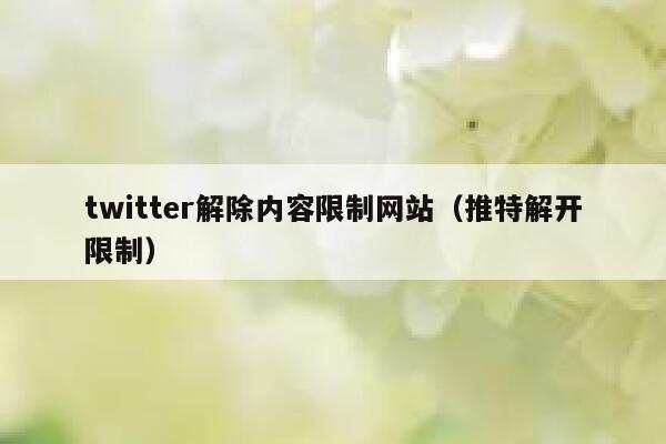 twitter解除内容限制网站（推特解开限制） 第1张