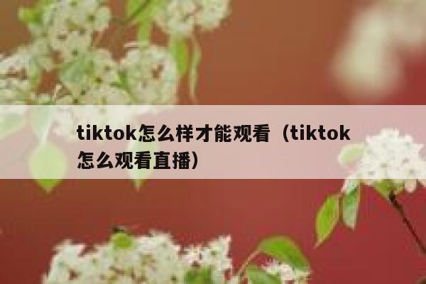 tiktok怎么样才能观看（tiktok怎么观看直播） 第1张