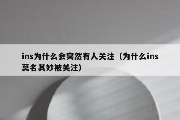 ins为什么会突然有人关注（为什么ins莫名其妙被关注） 第1张