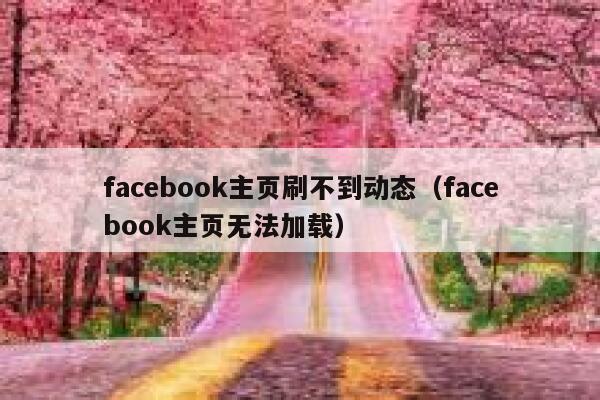 facebook主页刷不到动态（facebook主页无法加载） 第1张
