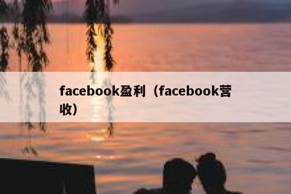 facebook盈利（facebook营收） 第1张