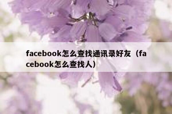 facebook怎么查找通讯录好友（facebook怎么查找人） 第1张