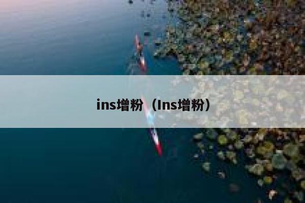 ins增粉（Ins增粉） 第1张