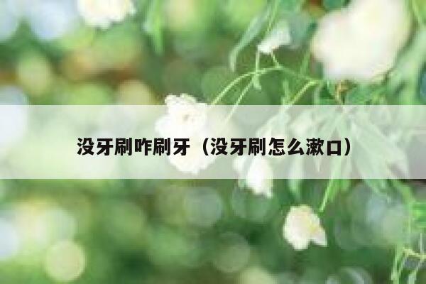 没牙刷咋刷牙(没牙刷怎么漱口) 第1张 没牙刷咋刷牙(没牙刷怎么漱口) 第1张