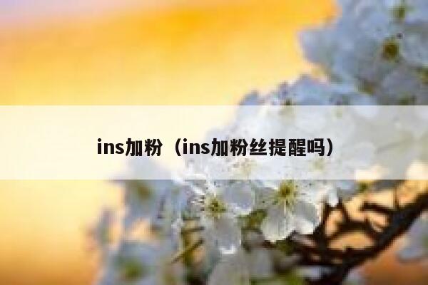 ins加粉（ins加粉丝提醒吗） 第1张