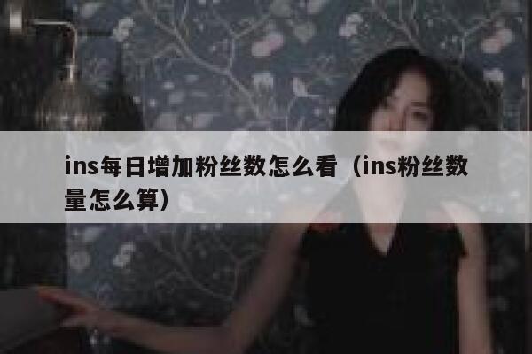 ins每日增加粉丝数怎么看（ins粉丝数量怎么算） 第1张