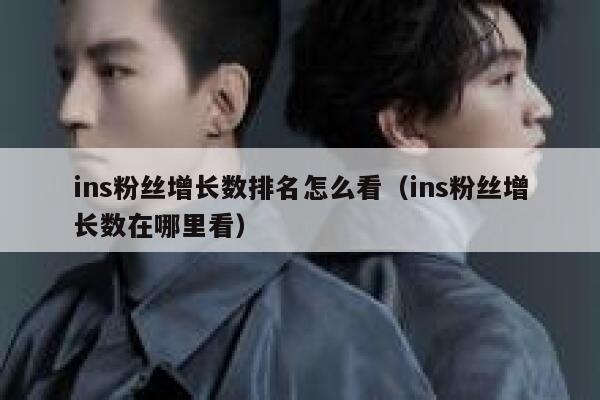 ins粉丝增长数排名怎么看（ins粉丝增长数在哪里看） 第1张