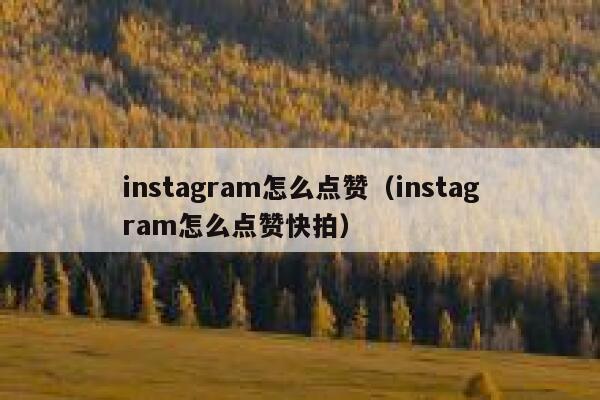 instagram怎么点赞（instagram怎么点赞快拍） 第1张