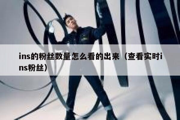 ins的粉丝数量怎么看的出来（查看实时ins粉丝） 第1张