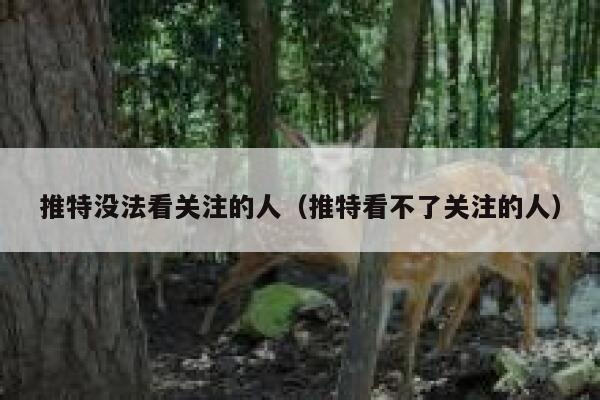 推特没法看关注的人（推特看不了关注的人） 第1张