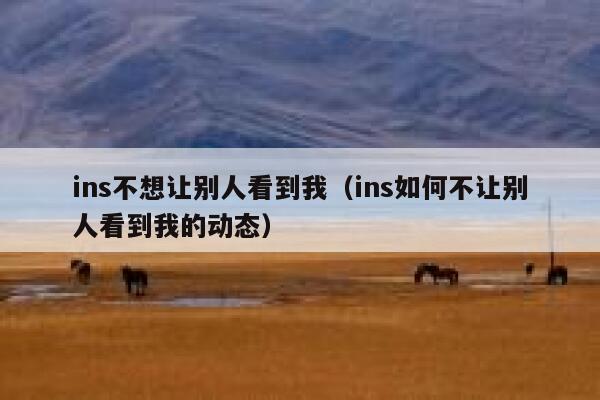 ins不想让别人看到我（ins如何不让别人看到我的动态） 第1张