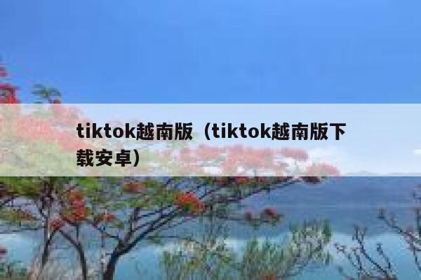tiktok越南版（tiktok越南版下载安卓） 第1张