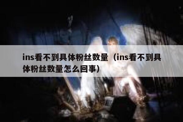 ins看不到具体粉丝数量(ins看不到具体粉丝数量怎么回事) 第1张 ins看不到具体粉丝数量(ins看不到具体粉丝数量怎么回事) 第1张